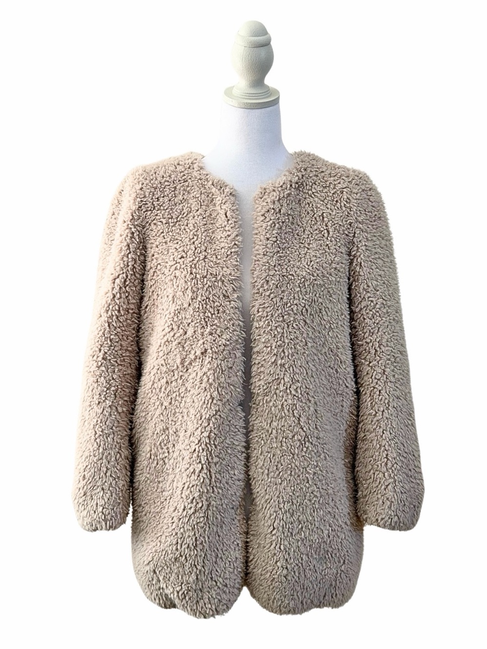 Aritzia Wilfred Laboratoire Fuzzy Teddy Coat Neutral Cozy XS